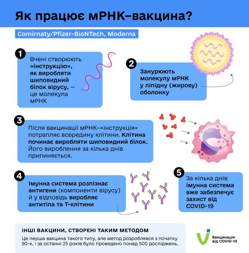 vaktsyny-maliunok-4