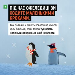 пн2