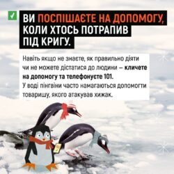 пн4