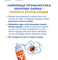 л1