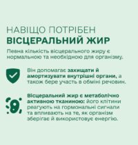 ск3